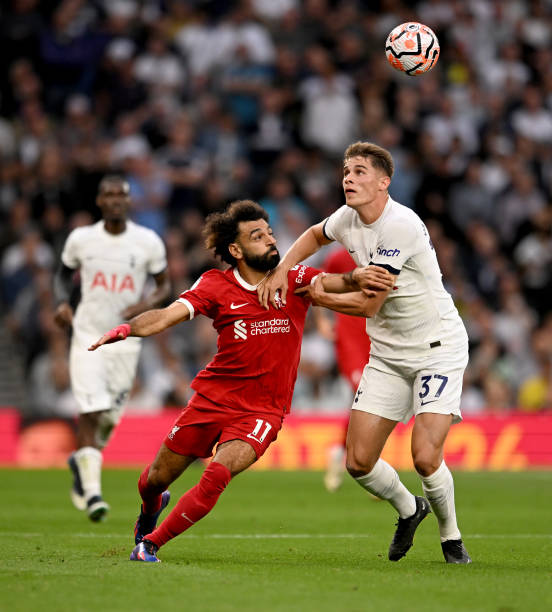 国际象棋作 国际象棋作